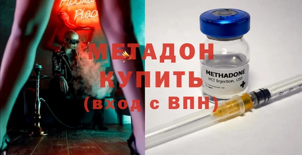 шишки Гусев