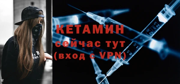 шишки Гусев