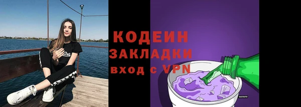 шишки Гусев