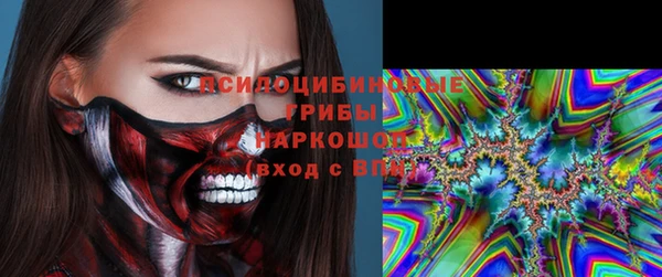 шишки Гусев