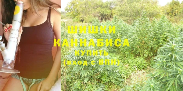 ECSTASY Гусиноозёрск