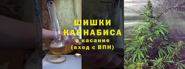 винт Няндома