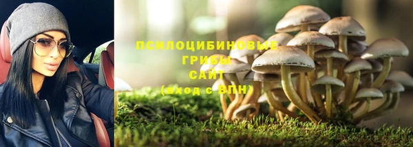 шишки Гусев