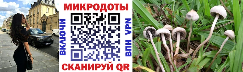ОМГ ОМГ зеркало хочу наркоту Северо-Курильск Псилоцибиновые грибы Magic Shrooms